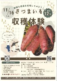 さつまいも収穫体験  １１月１６日（土）１０時~１２時