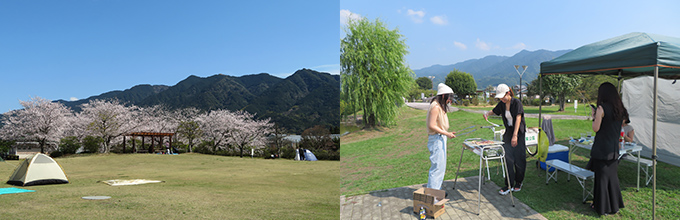 ふれあい農業公園でのキャンプ・バーベキューの雰囲気です。春は桜が綺麗です。